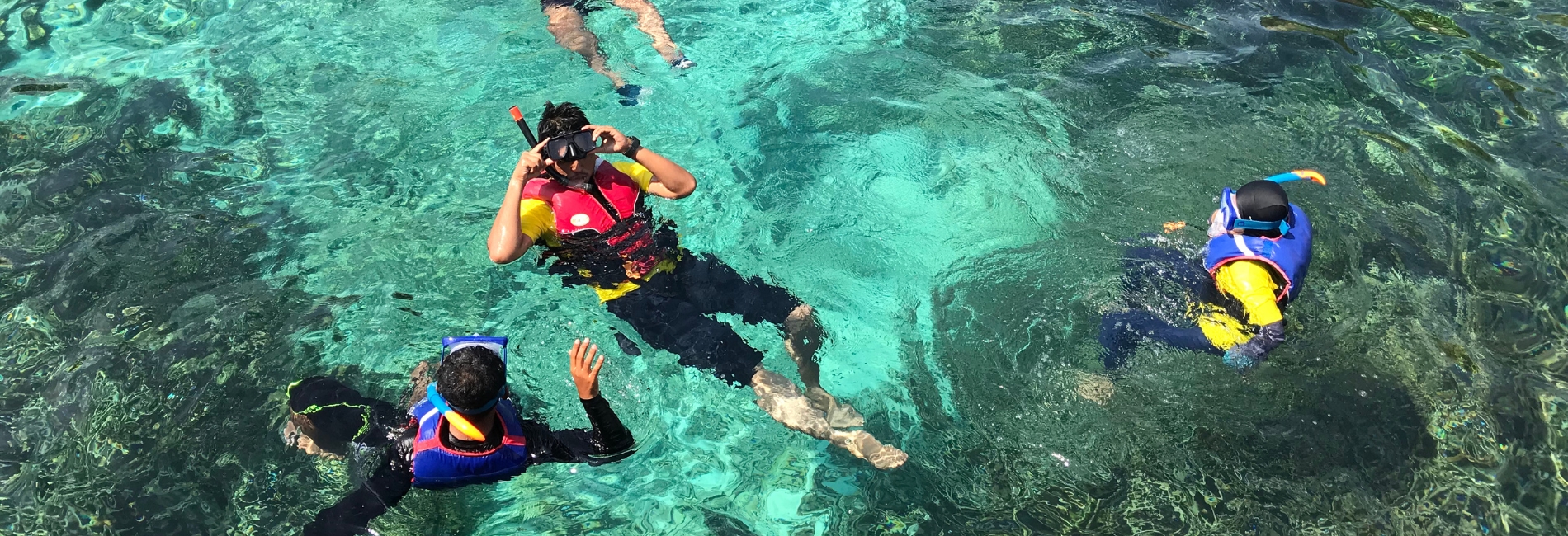 Snorkel or Dive at Bimini Road