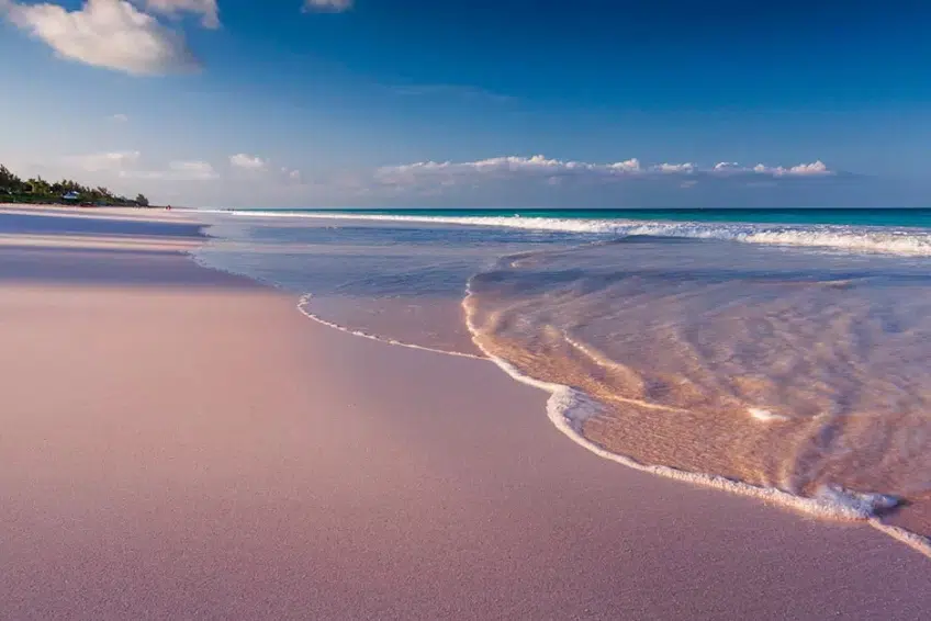 Things To Do On Harbour Island: Relax On The Beach