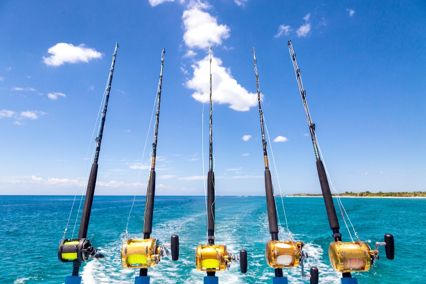 Go Fishing in Bimini