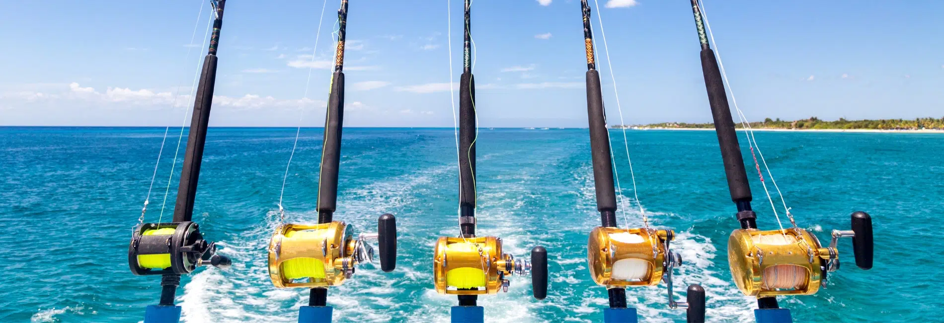 Go Fishing in Bimini