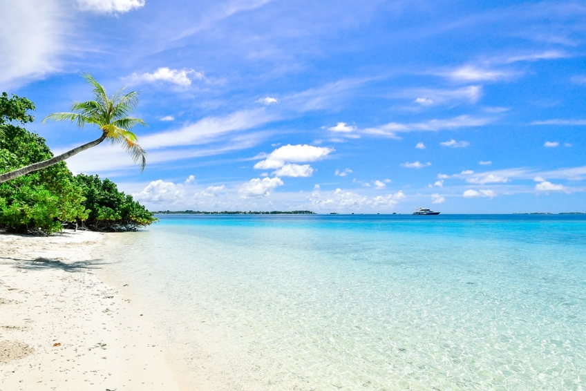 Things To Do In Spanish Wells - Relax On The Stunning Beaches