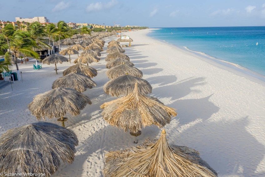 Aruba Beach Hotel Guide - Amsterdam Manor Beach Resort