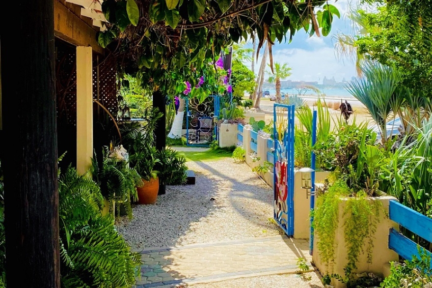 Aruba Beach Hotel Guide - Aruba Sunset Beach Studios