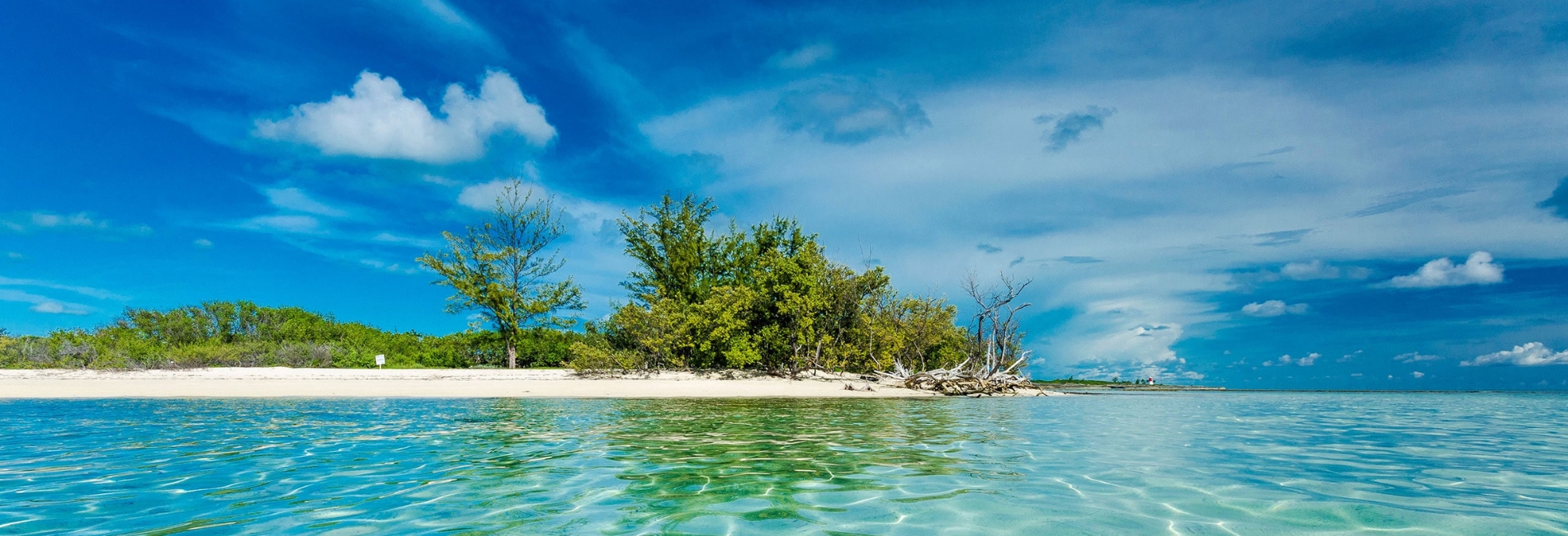 Bimini Visitors Guide