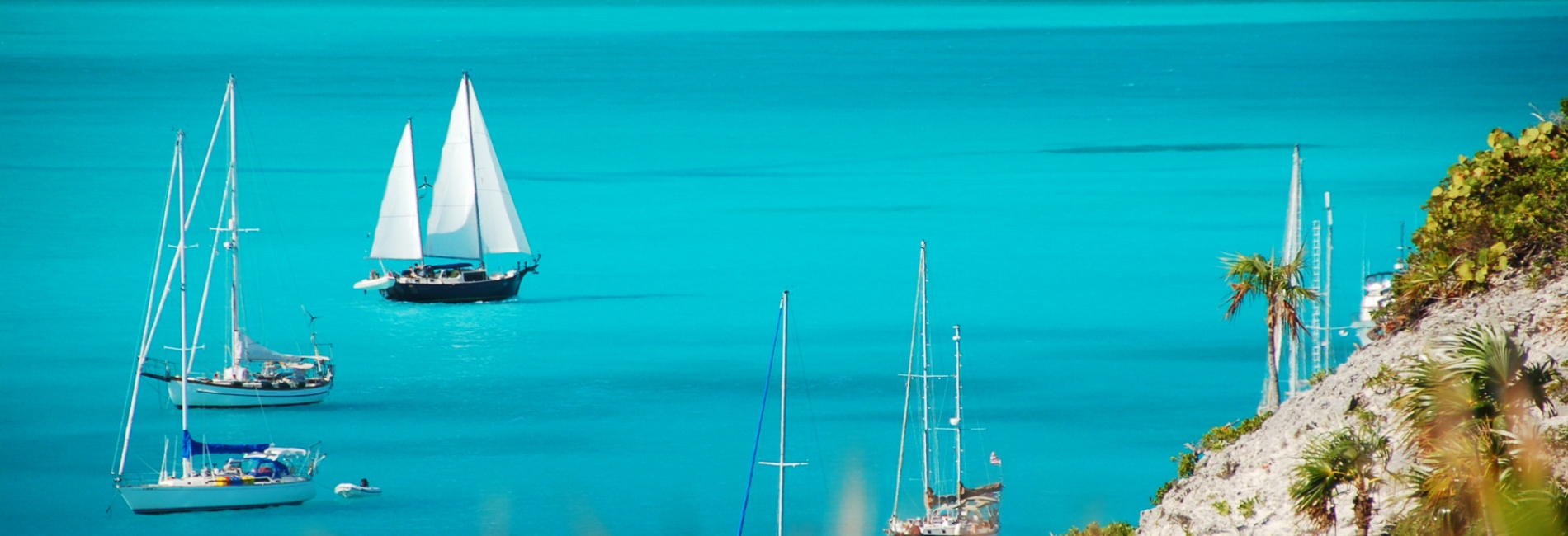 Spanish Wells Visitors Guide