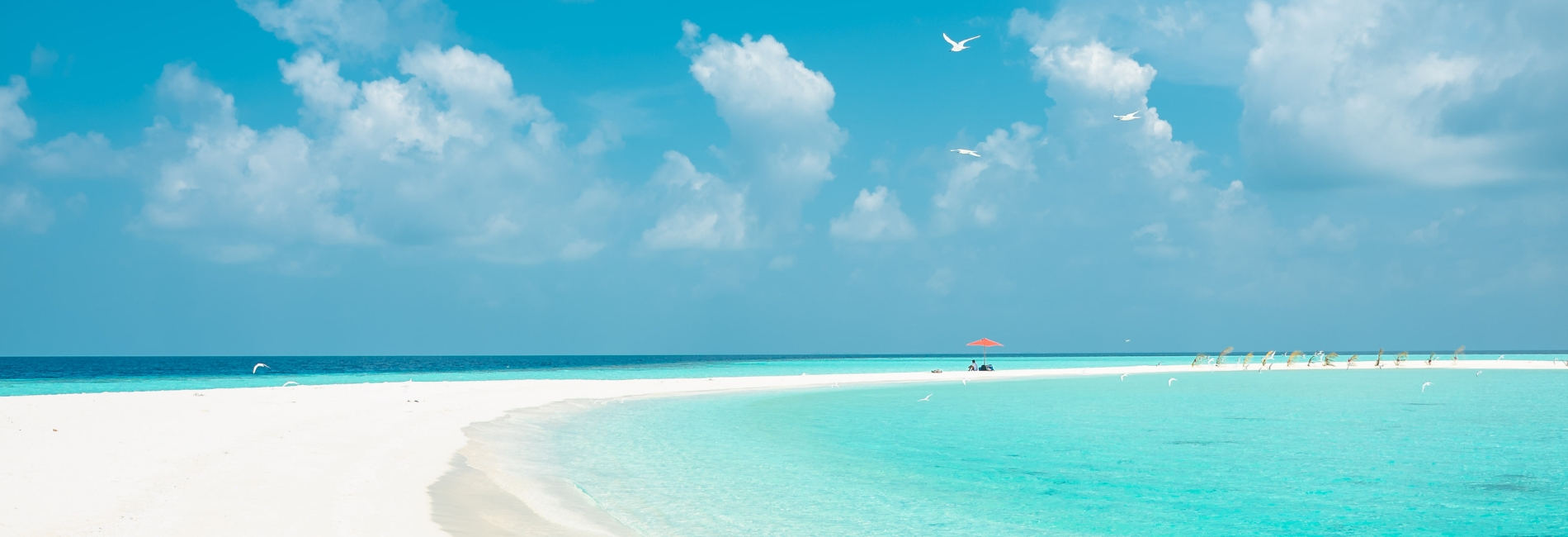 Spanish Wells Visitors Guide