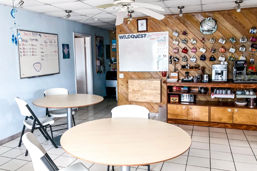 The Best Bimini Resorts: Wildquest