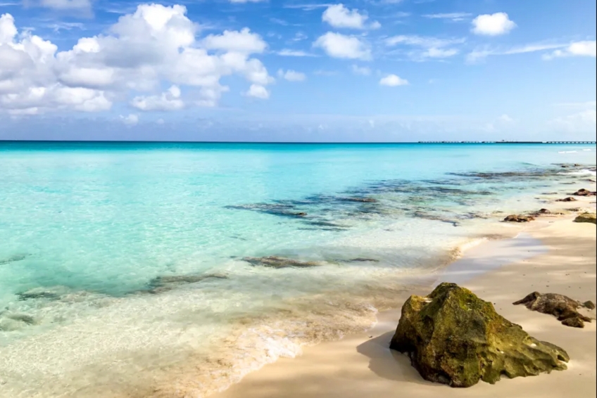 The Best Bimini Resorts: Wildquest