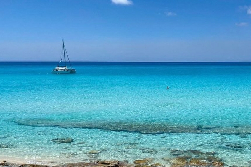 The Best Bimini Resorts: Wildquest