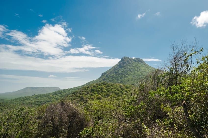 Things To Do In Curacao: Take A Hike In Christoffel National Park