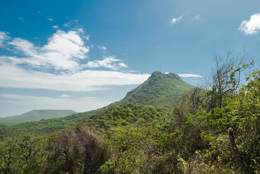 Things To Do In Curacao: Take A Hike In Christoffel National Park
