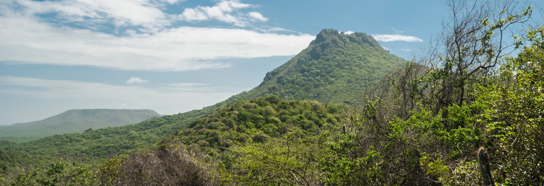 Things To Do In Curacao: Take A Hike In Christoffel National Park