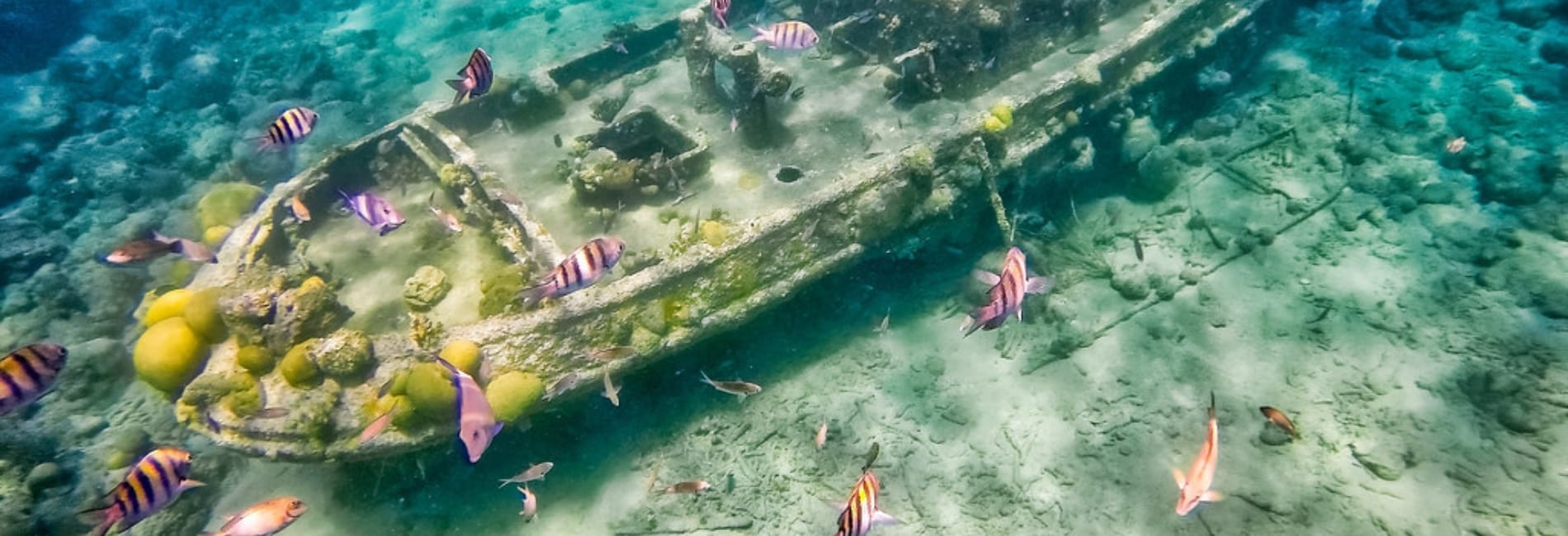 Things To Do In Curacao: Snorkel Or Scuba Dive