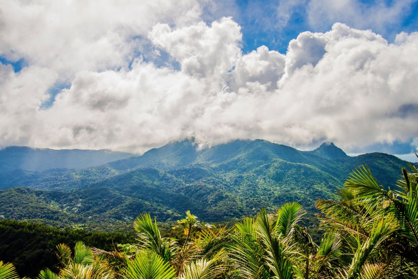 El Yunque National Forest Guide