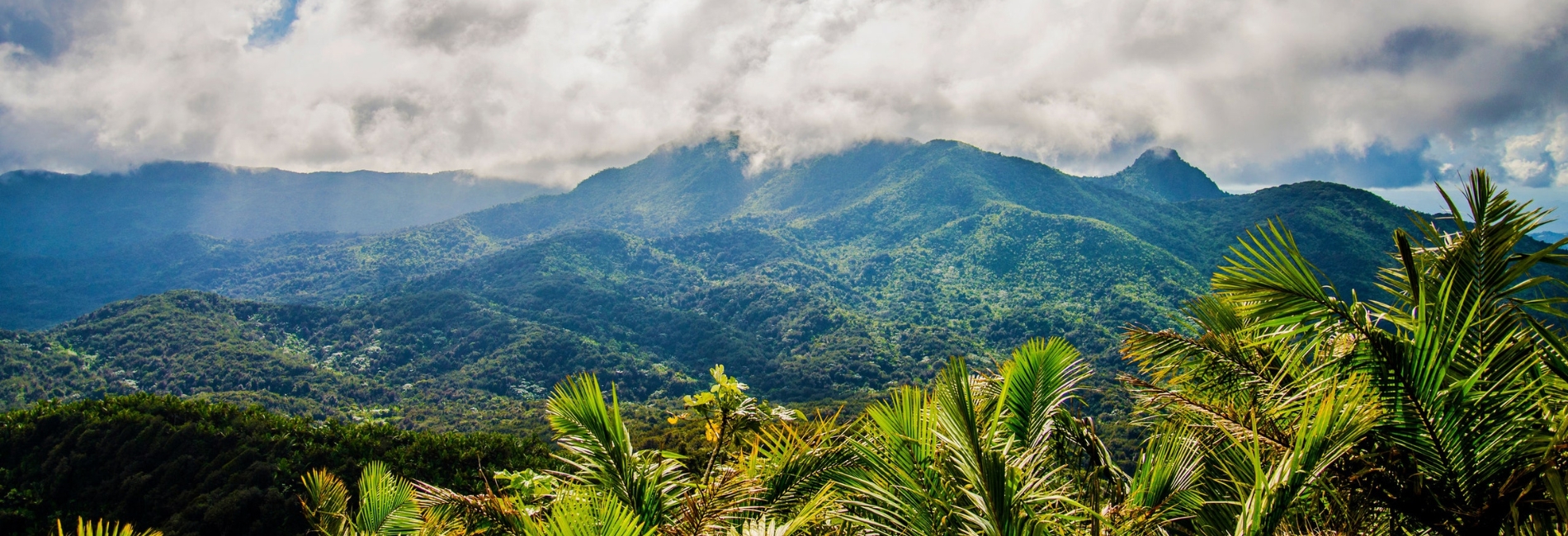 El Yunque National Forest Guide