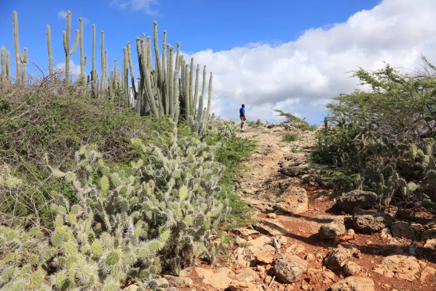 Curacao Visitors Guide