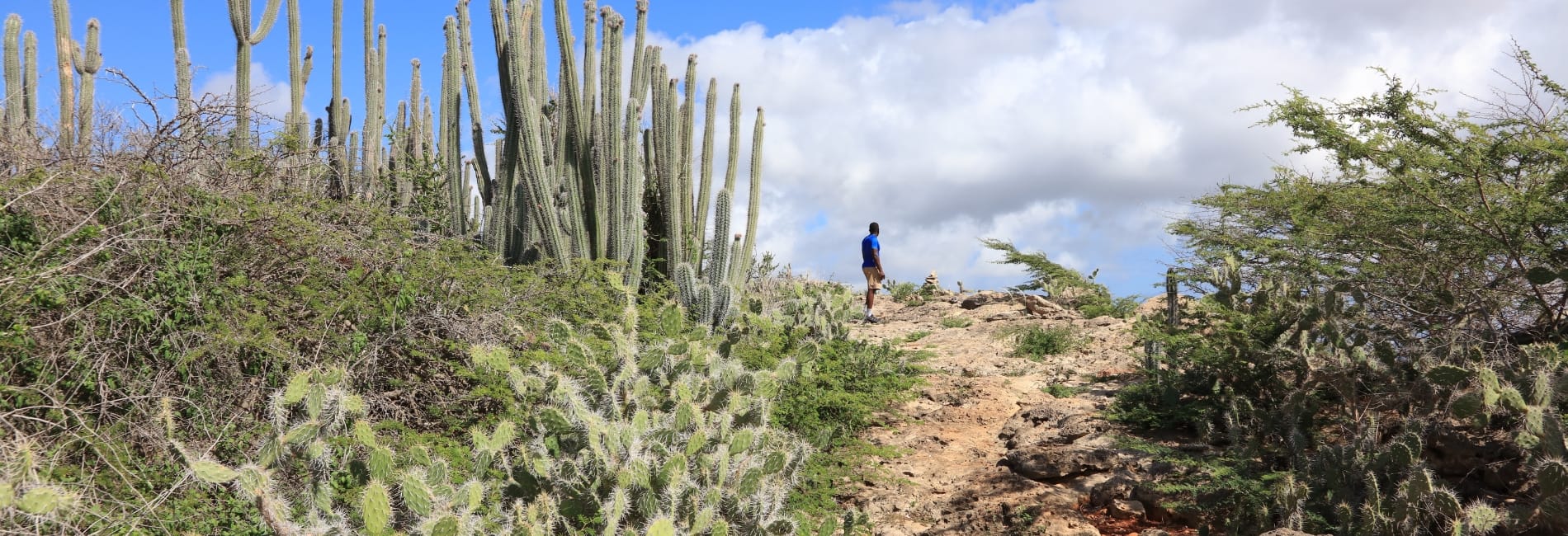 Curacao Visitors Guide