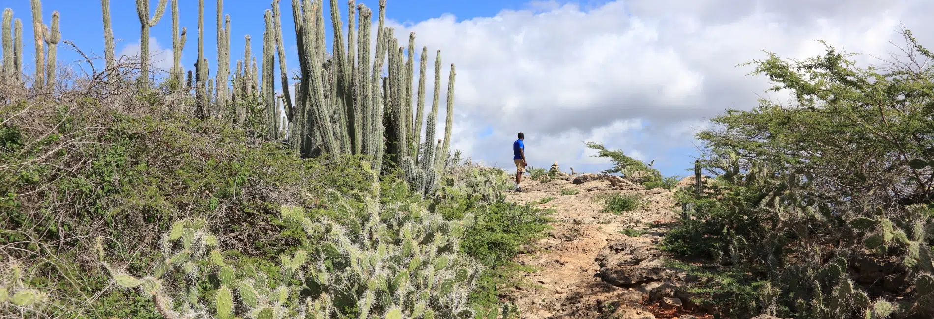 Curacao Visitors Guide