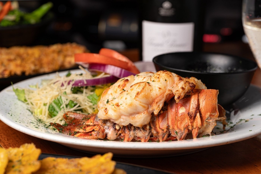 El Yunque National Forest Guide - Dine Near The Rainforest