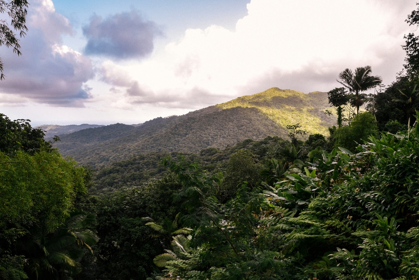 El Yunque National Forest Guide