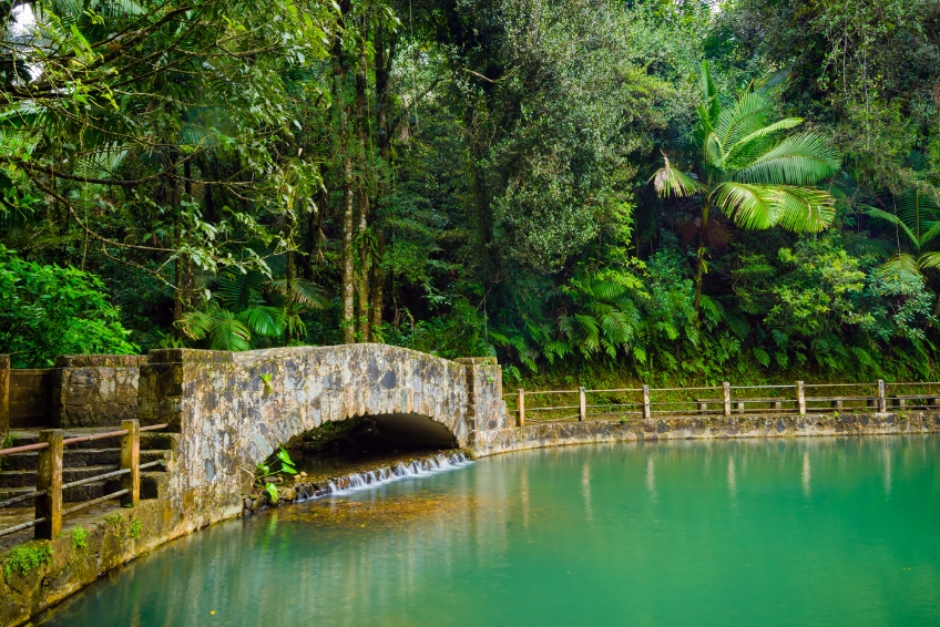 El Yunque National Forest Guide