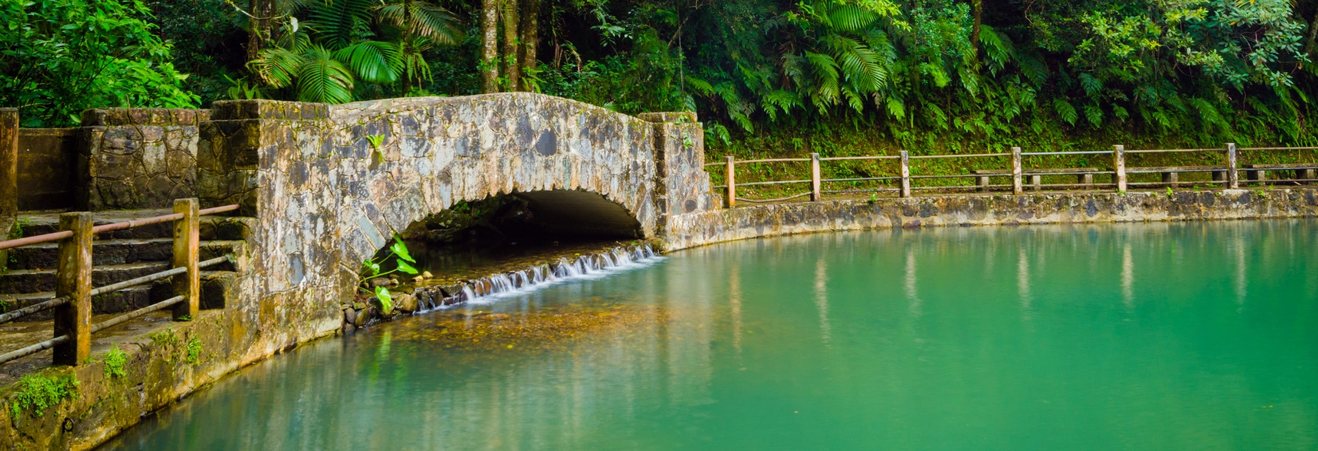 El Yunque National Forest Guide