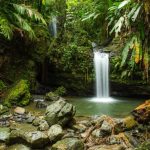 El Yunque National Forest Guide