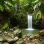 El Yunque National Forest Guide