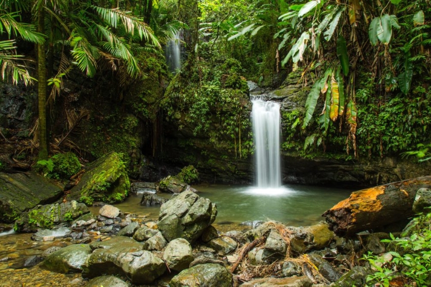 El Yunque National Forest Guide