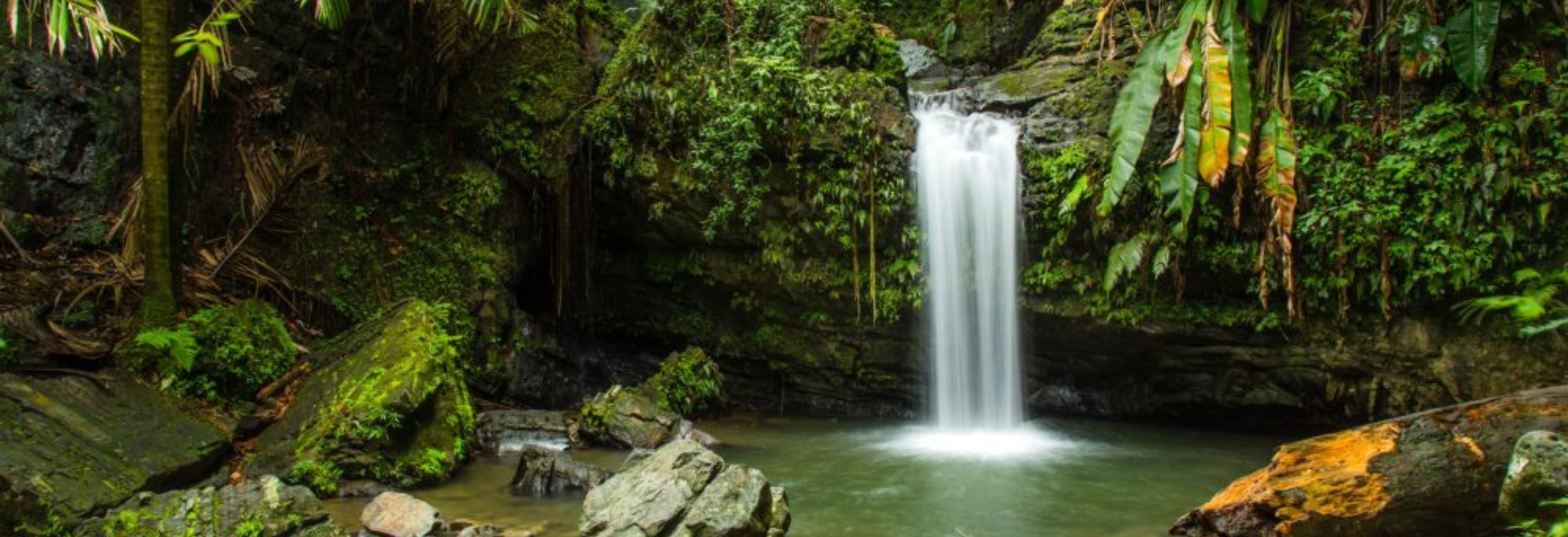 El Yunque National Forest Guide - Relax By A Waterfall