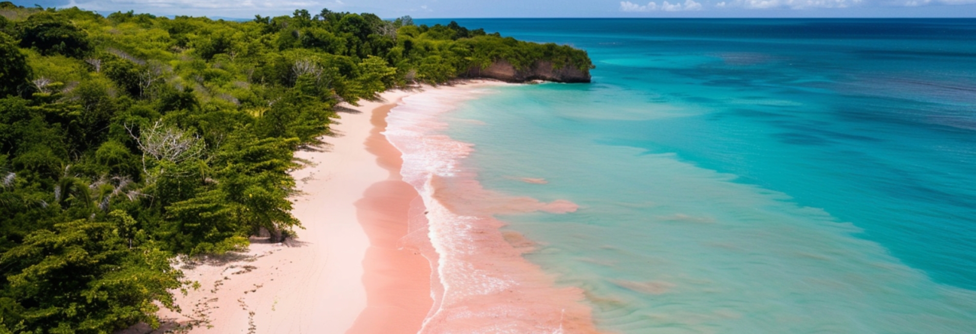 Harbour Island Visitors Guide