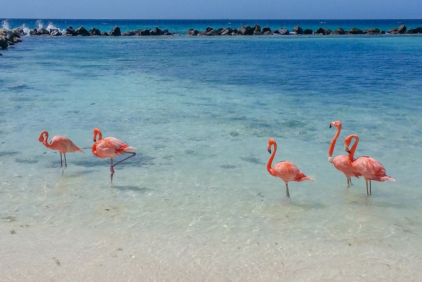 The Best Time To Visit Aruba - April