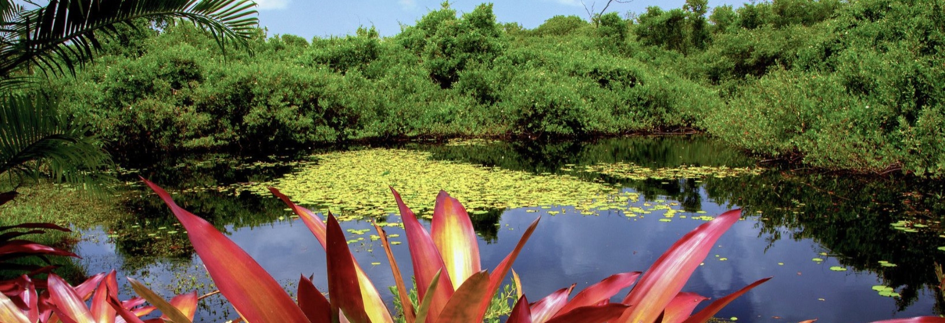 The Best Time To Visit The Cayman Islands - April