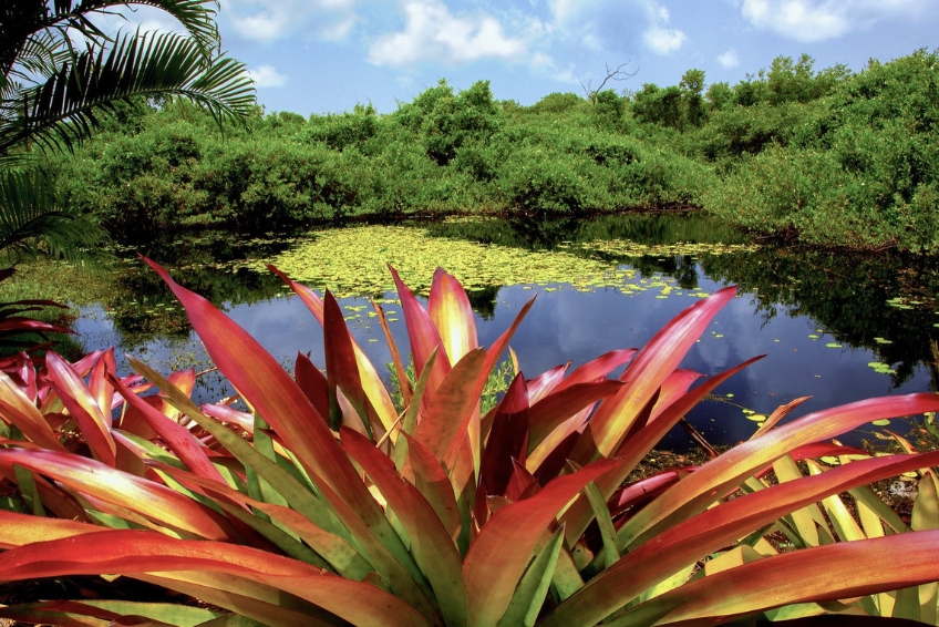 The Best Time To Visit The Cayman Islands - April