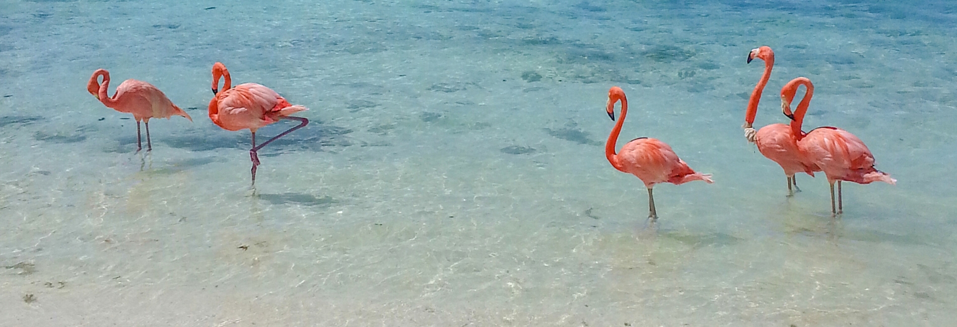 The Best Time To Visit Aruba - April