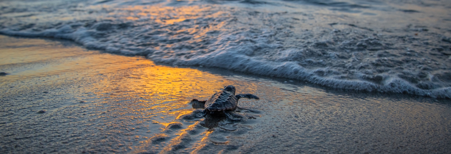 The Best Time To Visit The Bahamas - August