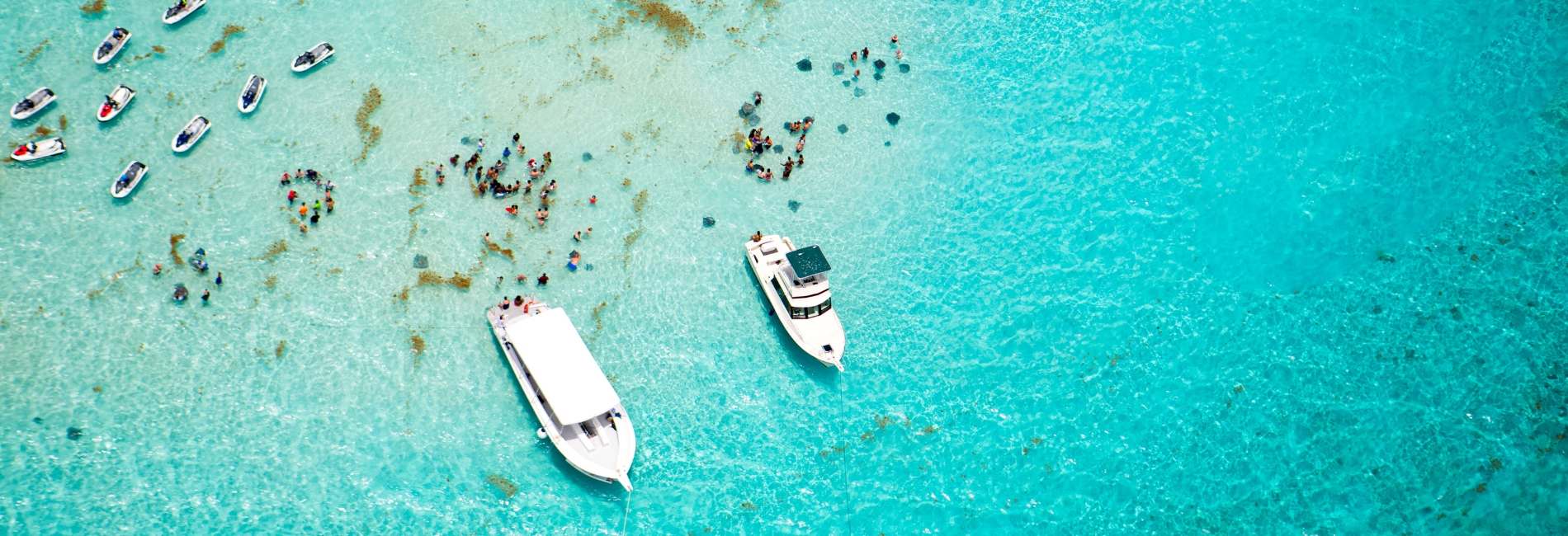 The Best Time To Visit The Cayman Islands - August