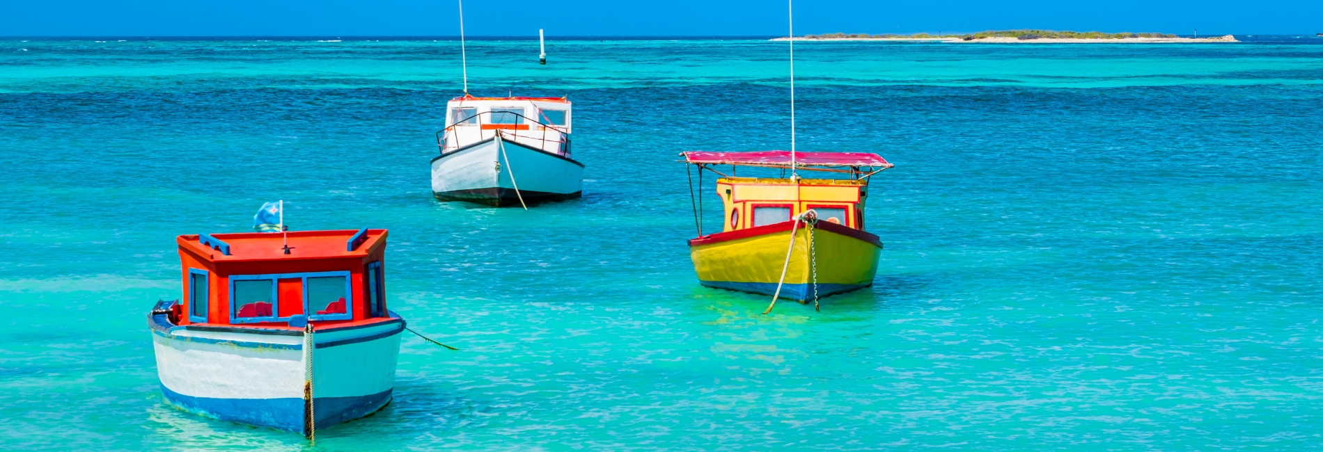 The Best Time To Visit Aruba - January