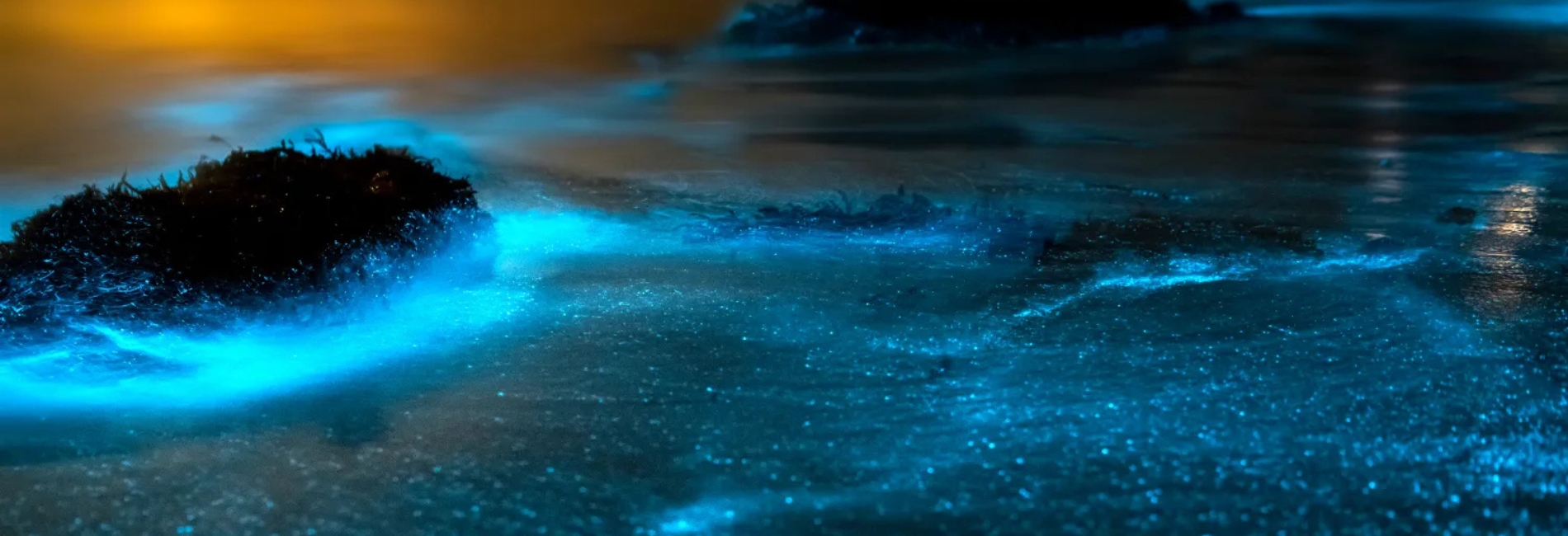 The Best Time To Visit The Cayman Islands - January