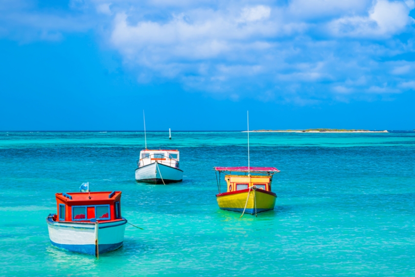 The Best Time To Visit Aruba - January