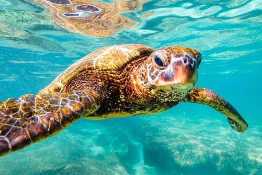 The Best Time To Visit Antigua - July