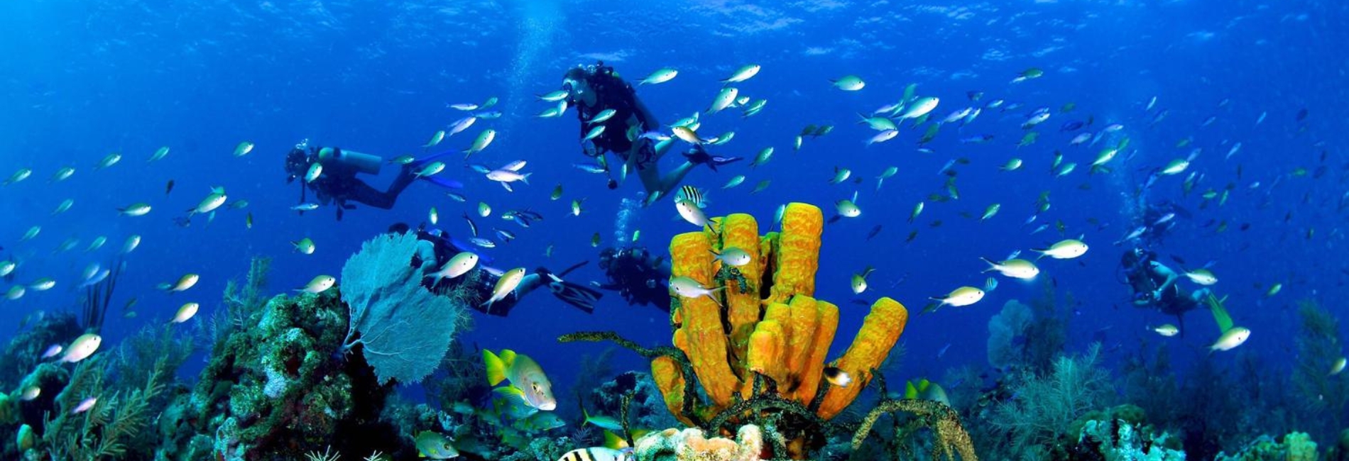 The Best Time To Visit The Cayman Islands - July