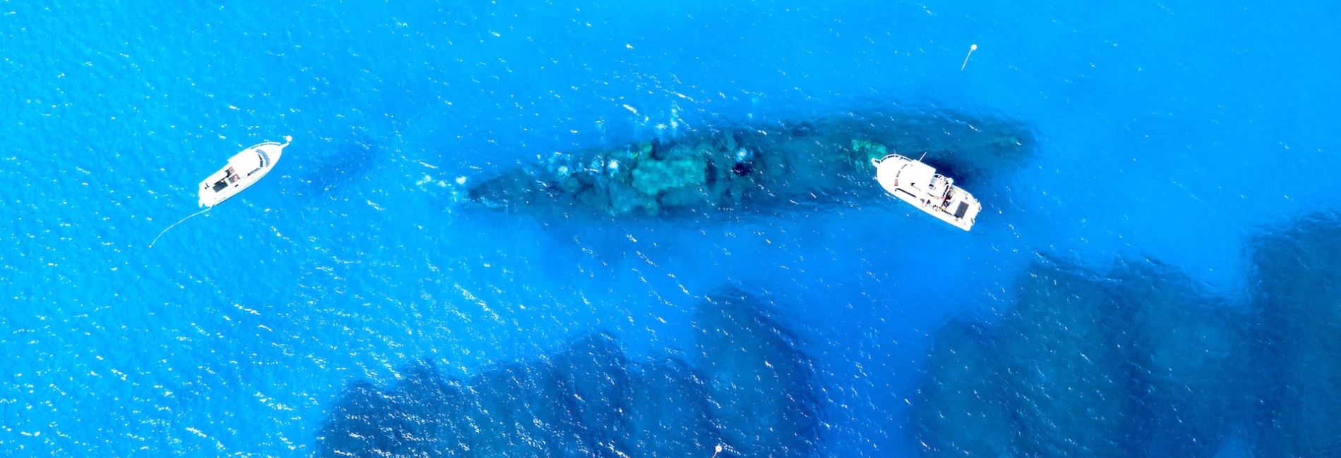 The Best Time To Visit The Cayman Islands - March