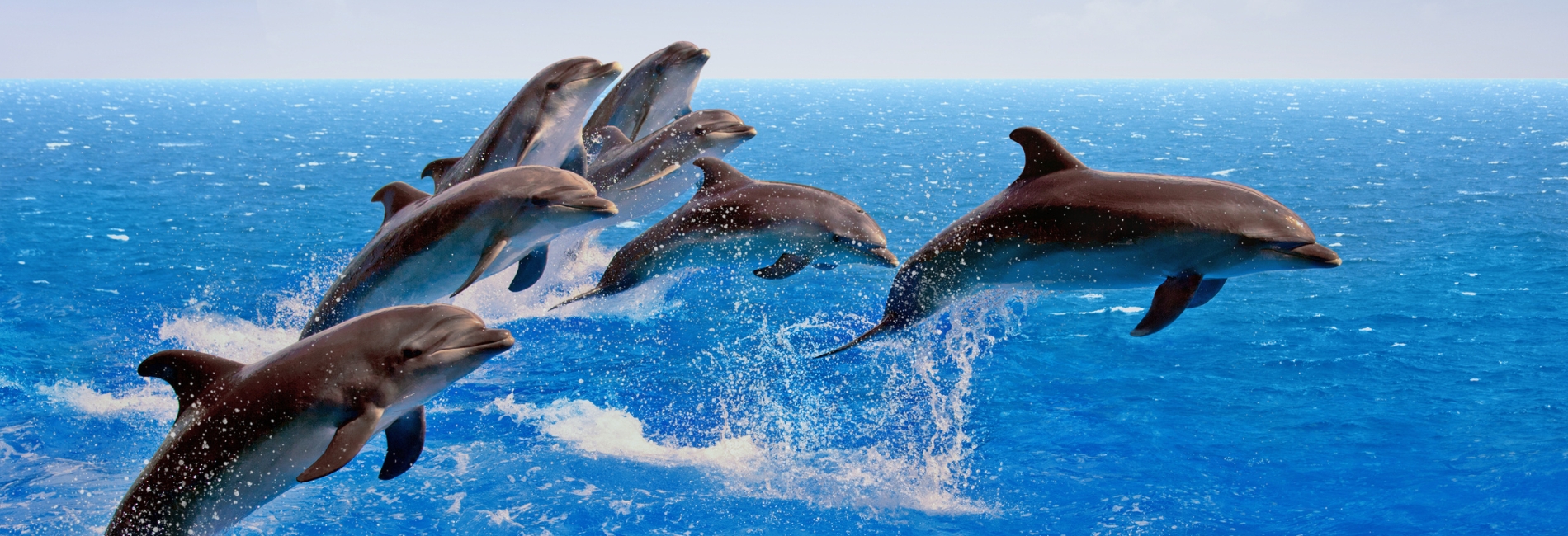 The Best Time To Visit The Bahamas - May