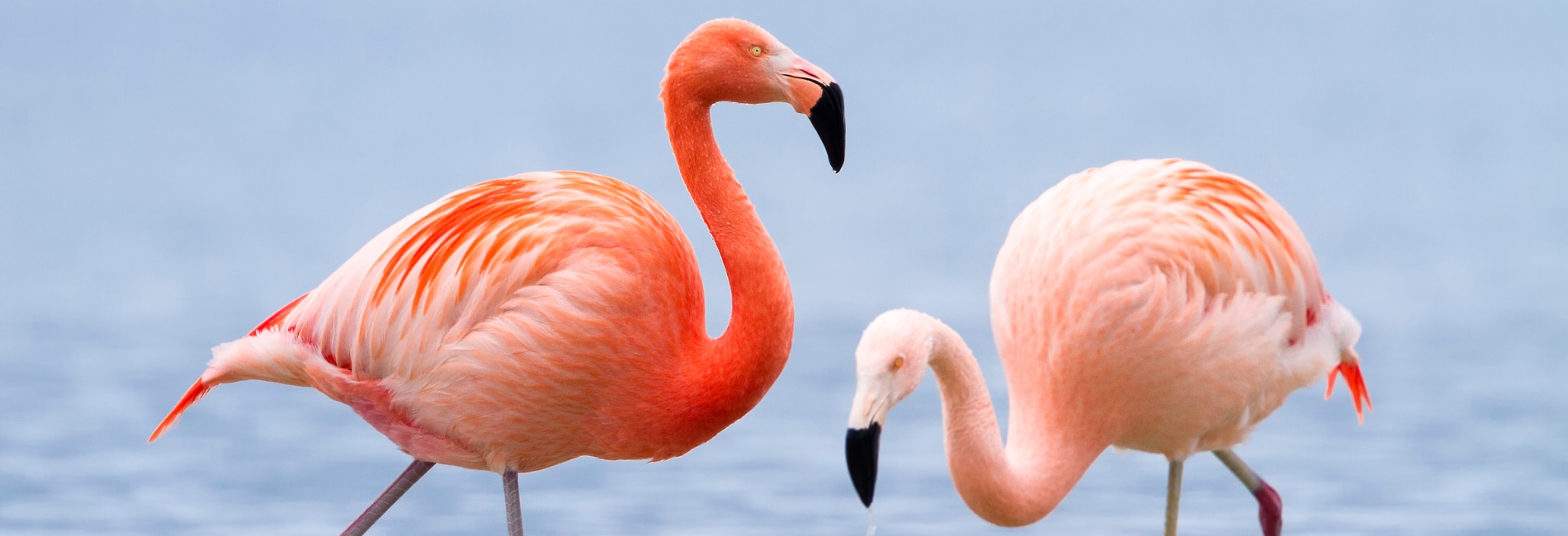 The Best Time To Visit The Bahamas - November