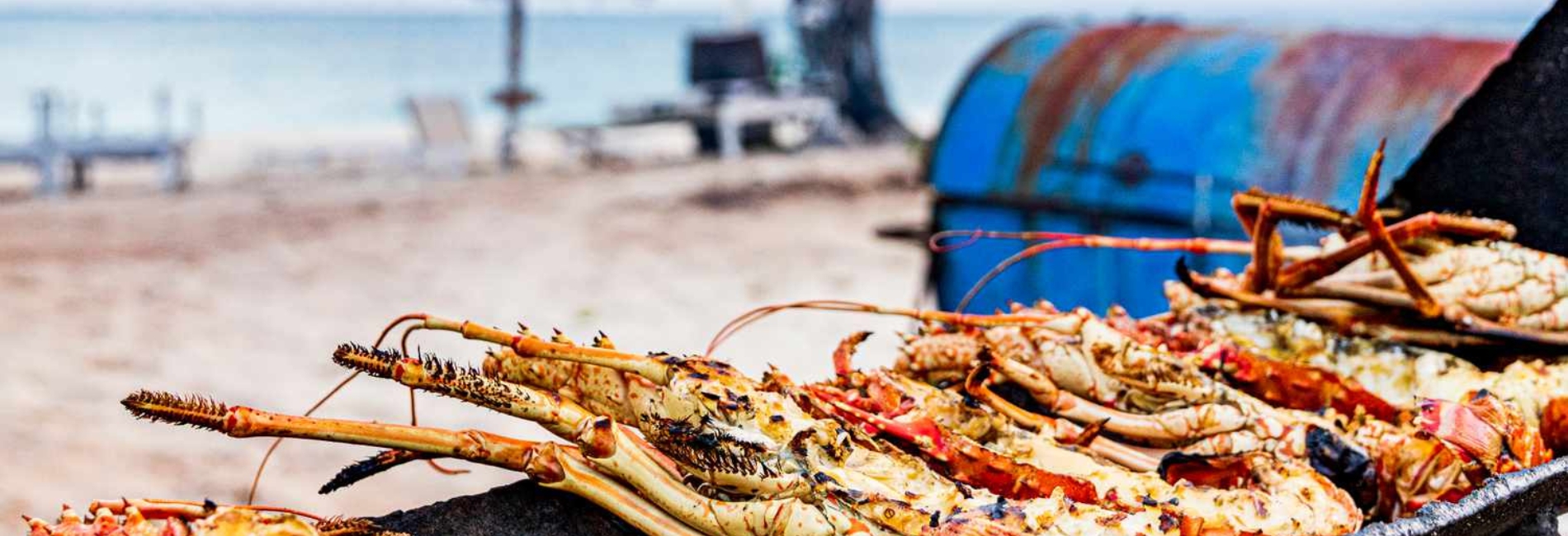 The Best Time To Visit Antigua - October