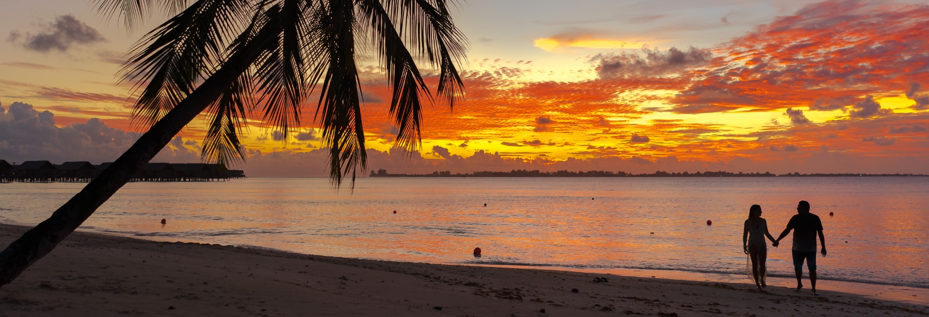 The Best Time To Visit The Cayman Islands - November