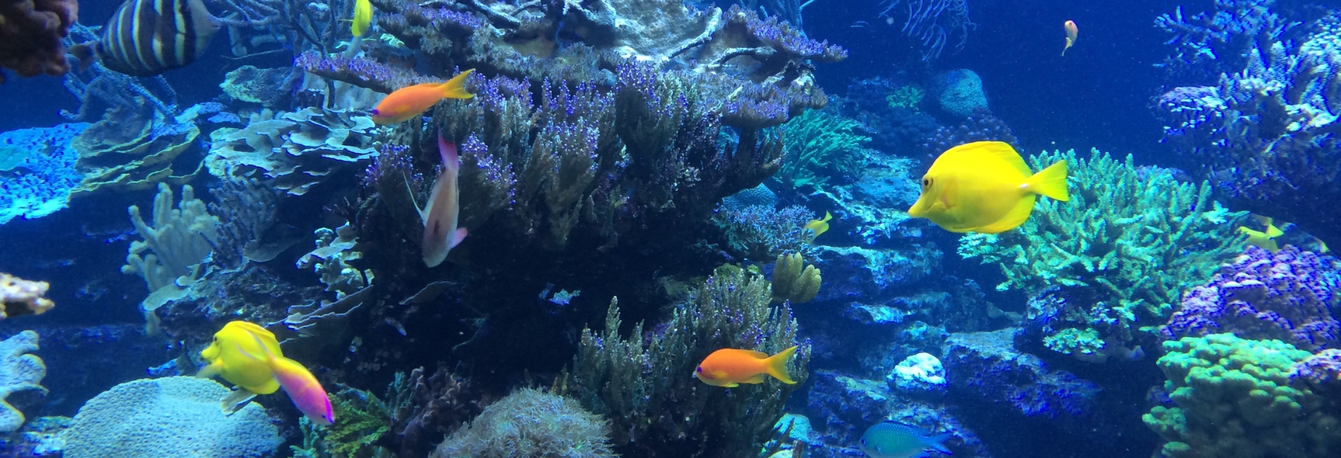 The Best Time To Visit Antigua - September