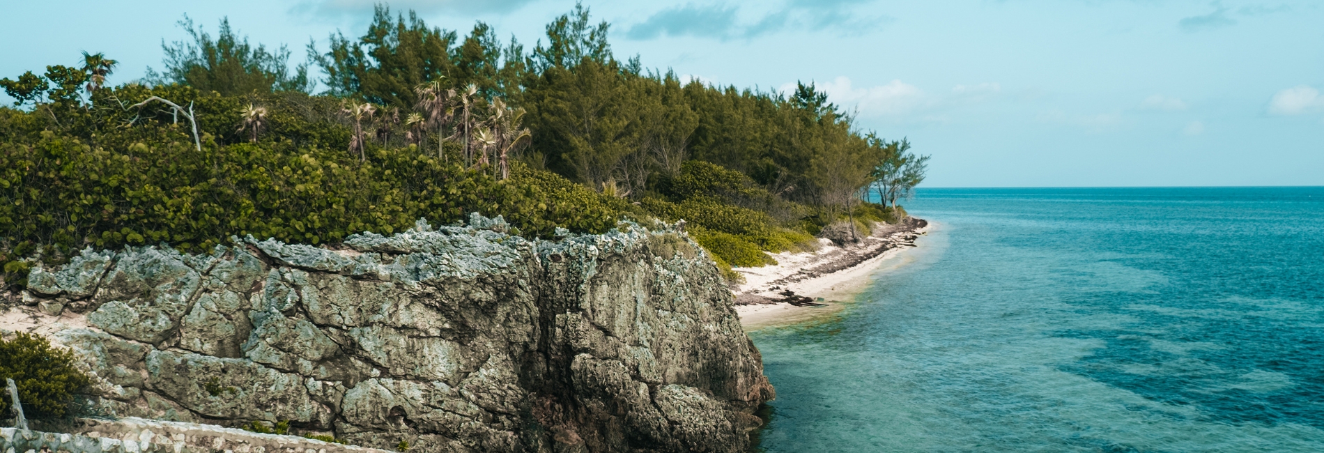 Day Trip To East End