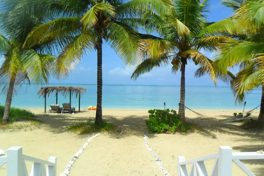 Secluded beach paradise at Kamalame Cay resort in the Bahamas featuring swaying palm trees, hammock between palms, beach cabana, turquoise Caribbean water, and pristine sand